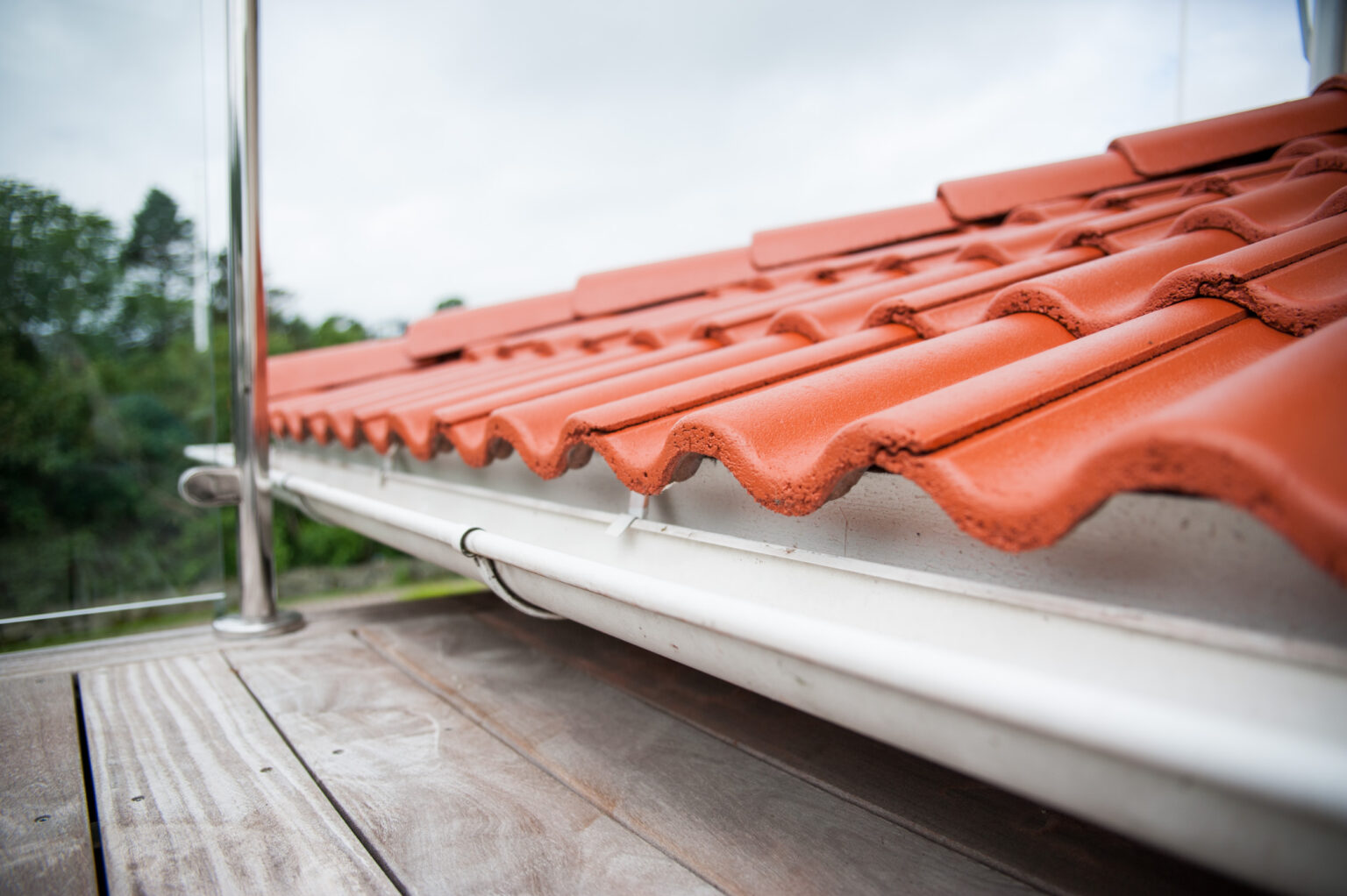 EvelinasFoto-Roofia-Gottskar1eJuli05