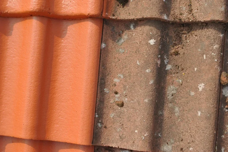 roofia-takvard-takrenovering-6-1